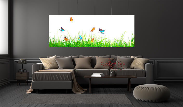 WEB01 0007 ML 0028 46962890 beautiful nature view of butterfly on blurred background in garden AOAY4432