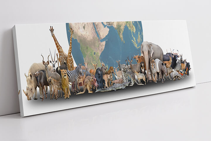 WEB01 0007 MP Panoramic 0004 18375064 animal of the world with planet earth AOAY3512