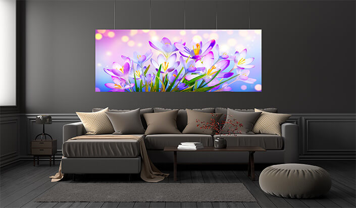 WEB01 0019 ML 0016 46976002 blooming purple crocus flowers on a sunny spring day (1) AOAY4444