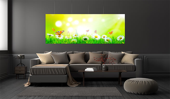 WEB01 0024 ML 0011 47273238 beautiful nature view of butterfly on blurred background in garden AOAY4450