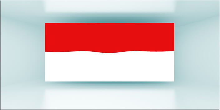 WEB01 0036 MP 0044 Monaco Flag AOAY4168