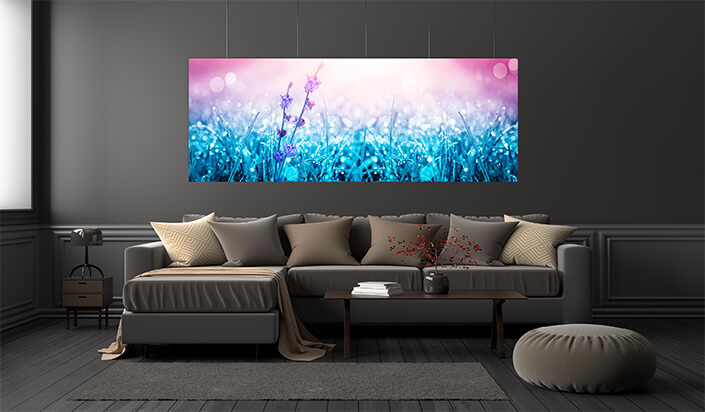 WEB01 0046 ML 0071 39036320 spring and summer flowers AOAY4909