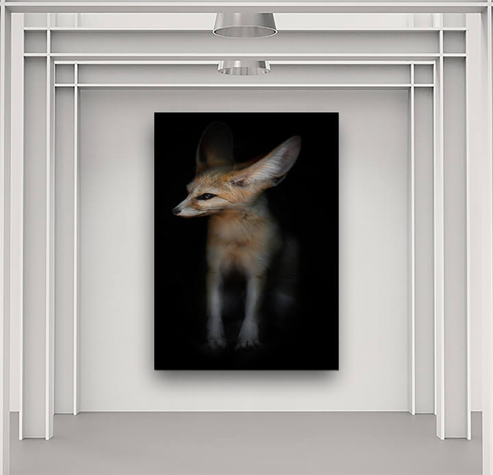 WEB01 0010 MPP 0000 25699256 desert fox fenech (1) AOAY4500