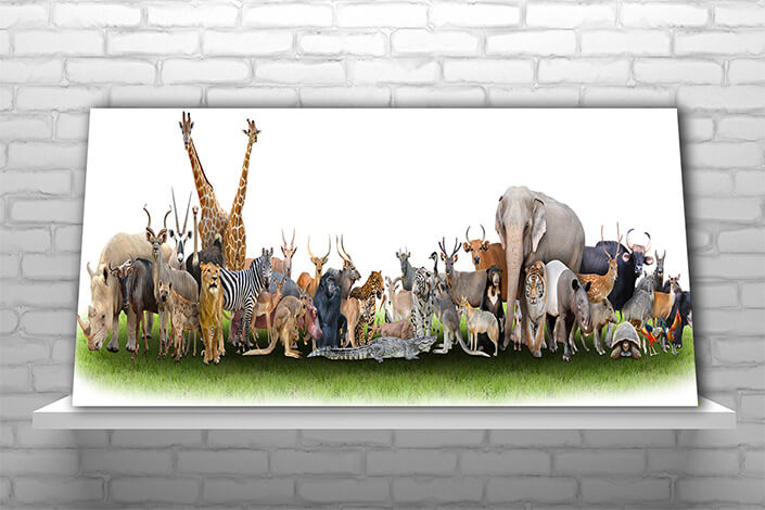 WEB02 0001 MP Panoramic 0006 18374742 animal of the world AOAY3510