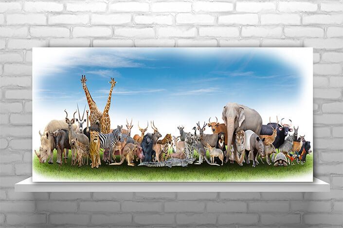 WEB02 0002 MP Panoramic 0005 18374952 animal of the world36 AOAY3511