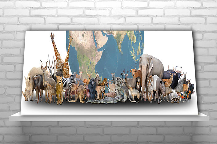 WEB02 0003 MP Panoramic 0004 18375064 animal of the world with planet earth AOAY3512