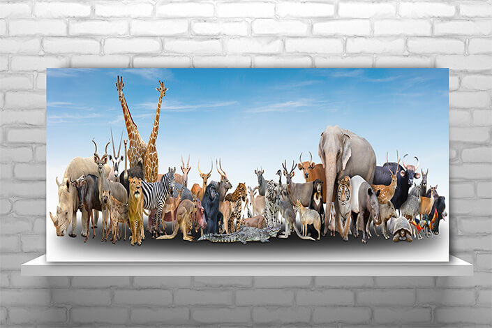 WEB02 0006 MP Panoramic 0001 18294884 animal of the world AOAY3504
