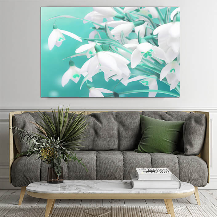 WEB02 0007 ML 0056 44695452 lots of snowdrops in the first days of spring AOAY4405