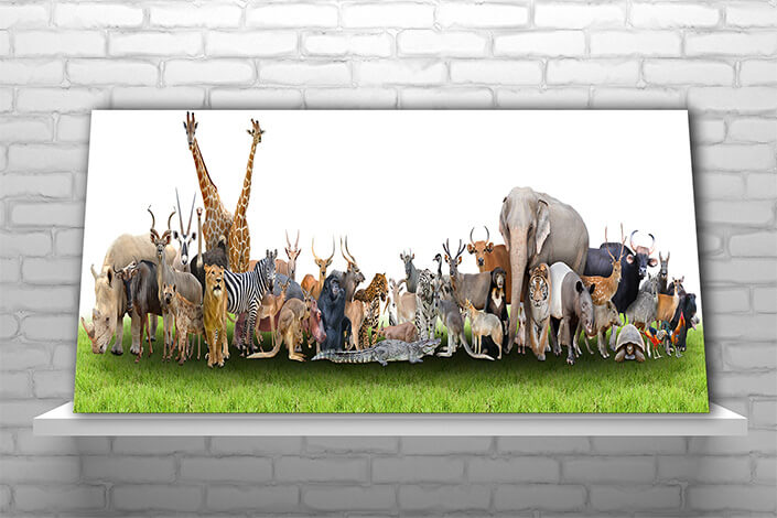 WEB02 0008 MP Panoramic 0008 18294890 animal of the world AOAY3506