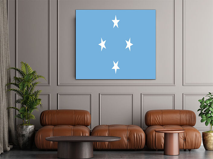WEB02 0025 MP 0046 Micronesia Flag AOAY4331