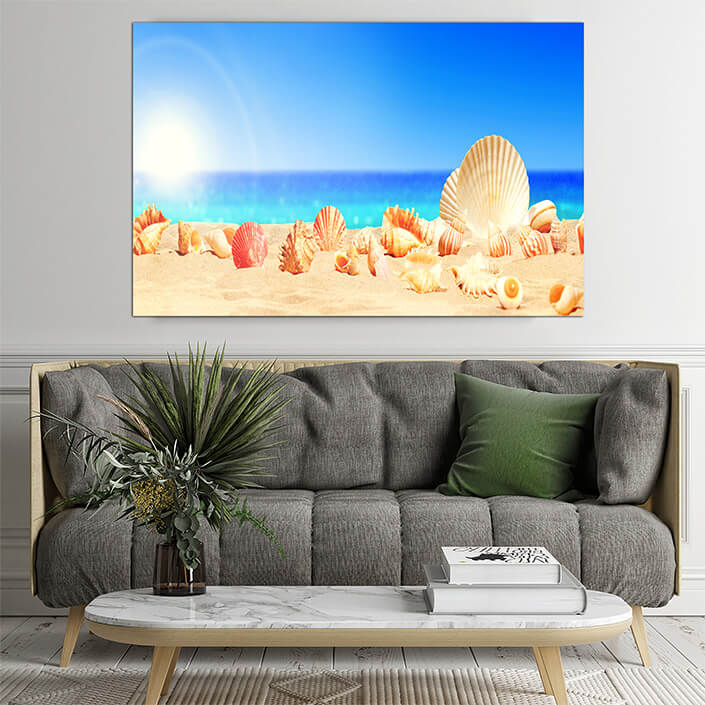 WEB02 0030 ML 0033 46944262 seashells on tropical beach summer holiday AOAY4427