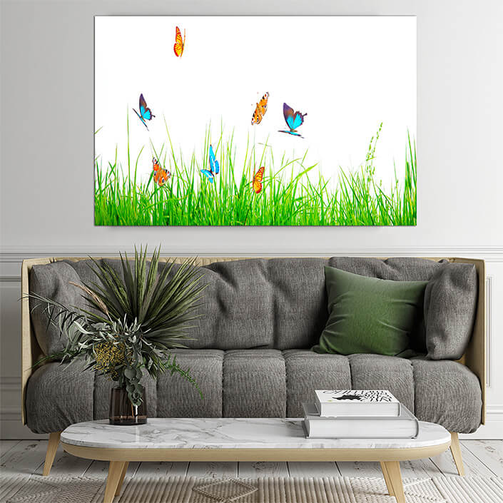 WEB02 0035 ML 0028 46962890 beautiful nature view of butterfly on blurred background in garden AOAY4432