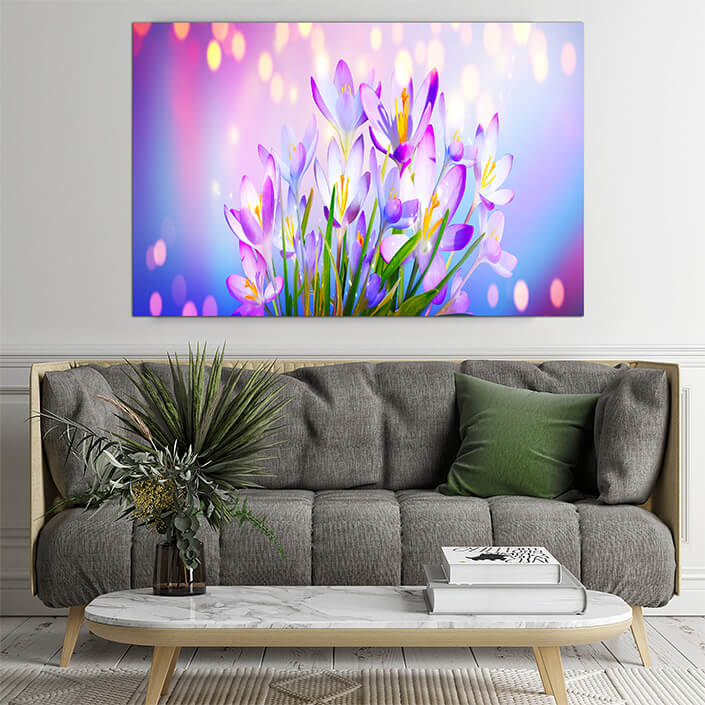 WEB02 0044 ML 0015 46976002 blooming purple crocus flowers AOAY4445