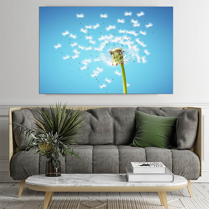 WEB02 0066 ML 0075 39033852 dandelion flower with flying feathers on blue sky AOAY4387