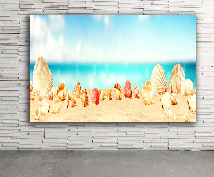 WEB03 0017 ML 0006 47273652 landscape with seashells on tropical beach summer holiday AOAY4456