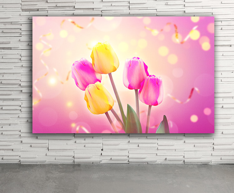 WEB03 0036 ML 0069 39036636 beautiful tulips spring nature04 AOAY4393