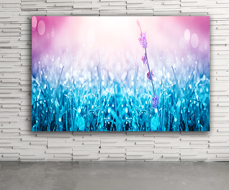 WEB03 0038 ML 0067 39038586 spring and summer panorama View AOAY4395