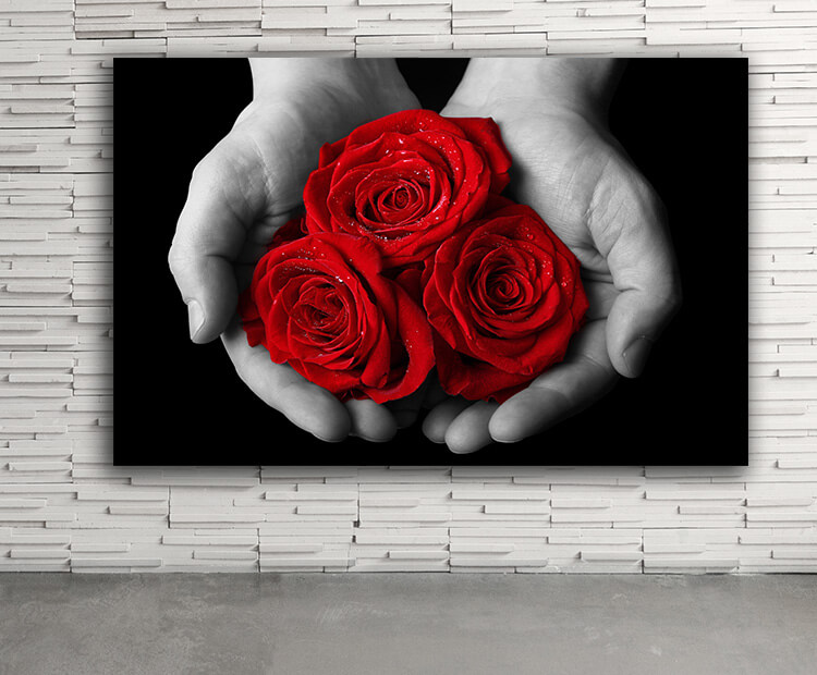 WEB03 0039 ML 0066 39038738 beautiful red rose in hand AOAY4396