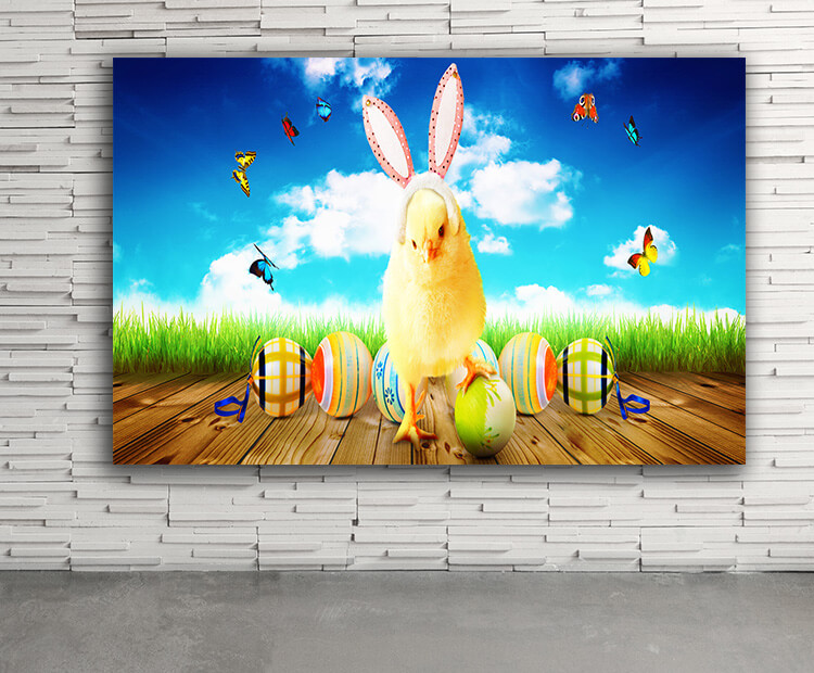 WEB03 0058 ML 0047 45204548 little cute newborn baby chick for easter celebration AOAY4414