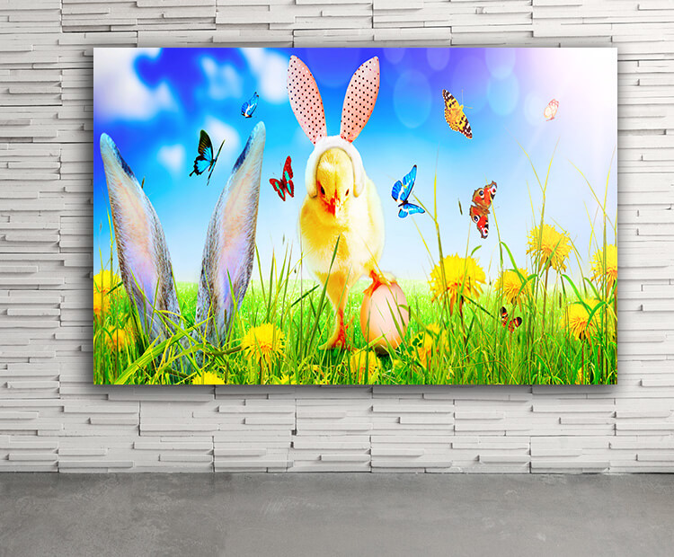 WEB03 0059 ML 0046 45204880 cute newborn baby chick for easter celebration02 AOAY4415