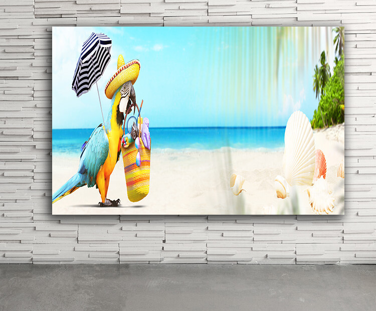 WEB03 0067 ML 0038 46943390 parrot in the sun on tropical beach summer holiday AOAY4422