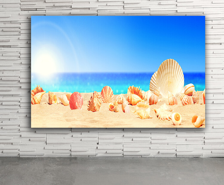 WEB03 0072 ML 0033 46944262 seashells on tropical beach summer holiday AOAY4427