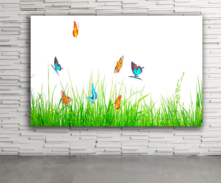 WEB03 0077 ML 0028 46962890 beautiful nature view of butterfly on blurred background in garden AOAY4432