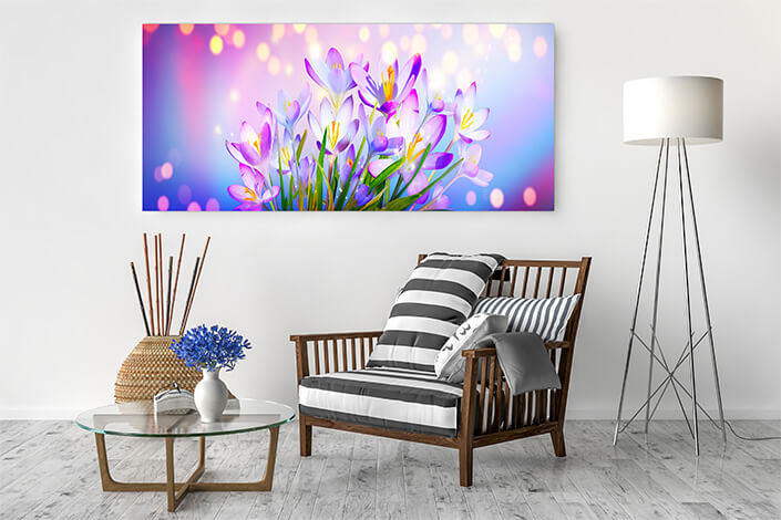 WEB04 0004 ML 0015 46976002 blooming purple crocus flowers AOAY4445