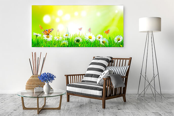 WEB04 0008 ML 0011 47273238 beautiful nature view of butterfly on blurred background in garden AOAY4450