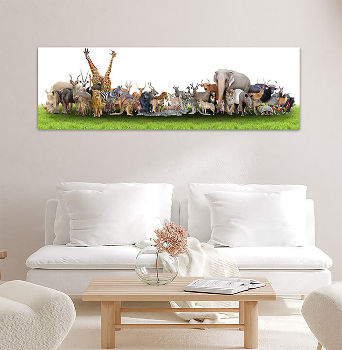 WEB04 0008 MP Panoramic 0008 18294890 animal of the world AOAY3506