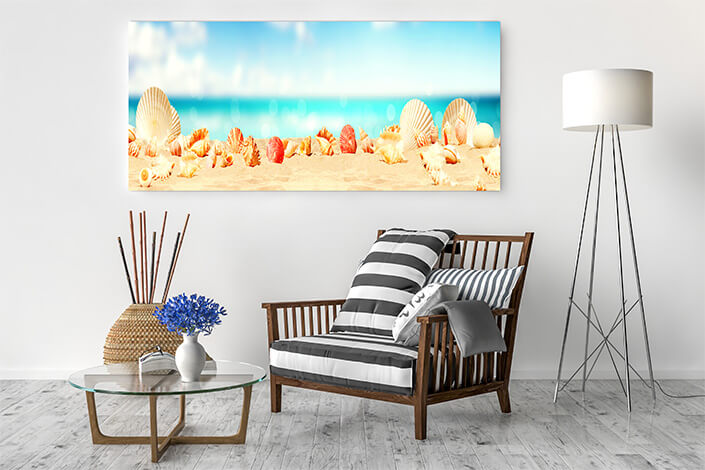 WEB04 0013 ML 0006 47273652 landscape with seashells on tropical beach summer holiday AOAY4456