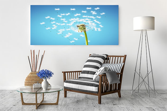 WEB04 0026 ML 0075 39033852 dandelion flower with flying feathers on blue sky AOAY4387