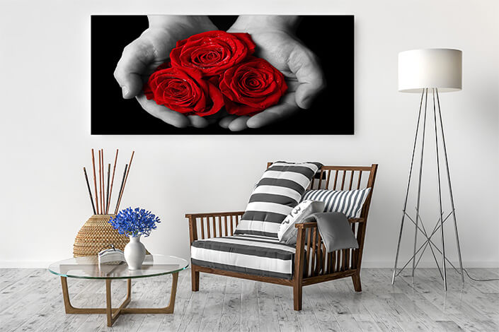 WEB04 0035 ML 0066 39038738 beautiful red rose in hand AOAY4396