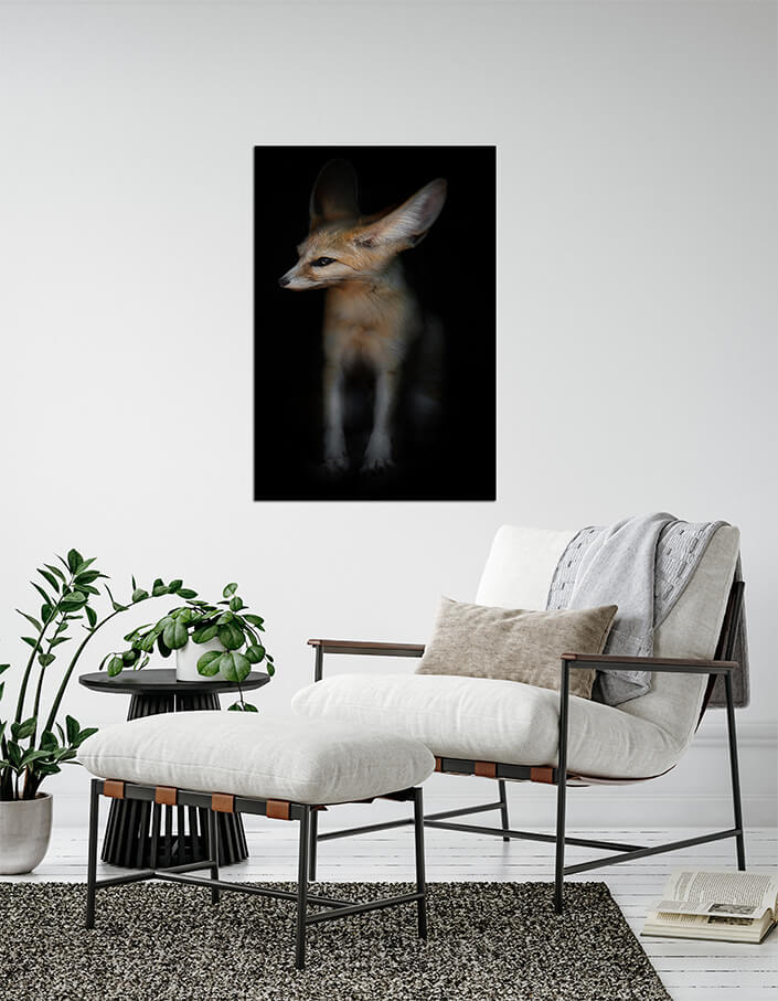 WEB04 0039 MPP 0000 25699256 desert fox fenech (1) AOAY4500