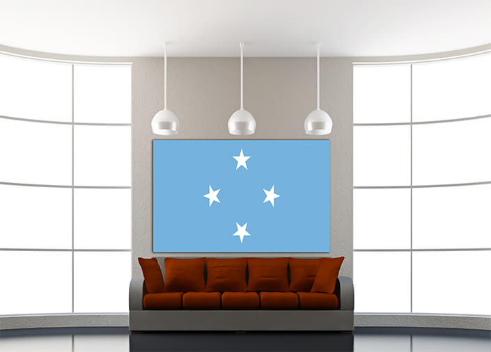 WEB04 0040 MP 0046 Micronesia Flag AOAY4331