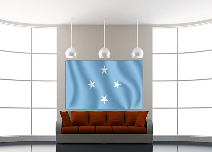 WEB04 0041 MP 0045 Micronesia Waving Flag AOAY4330