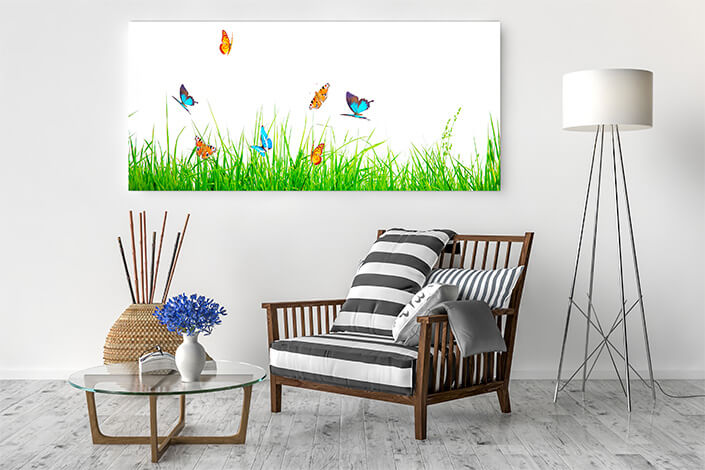 WEB04 0061 ML 0028 46962890 beautiful nature view of butterfly on blurred background in garden AOAY4432