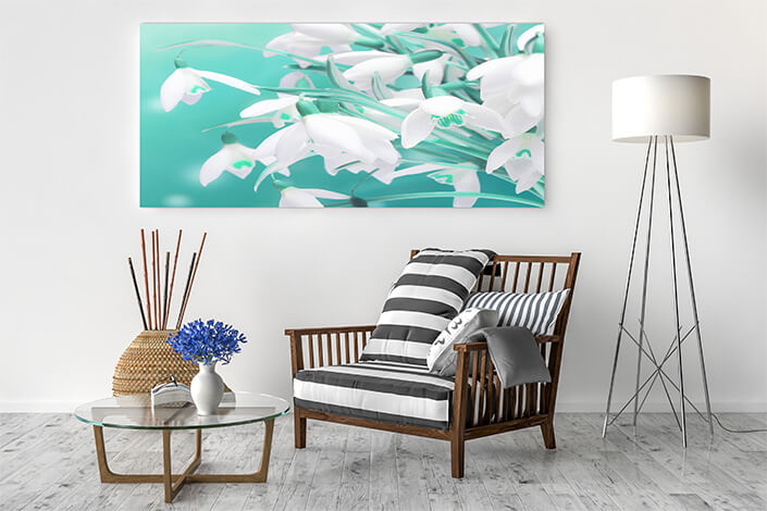 WEB04 0075 ML 0056 44695452 lots of snowdrops in the first days of spring AOAY4405