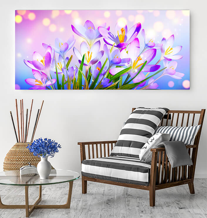 WEB05 0003 ML 0016 46976002 blooming purple crocus flowers on a sunny spring day (1) AOAY4444