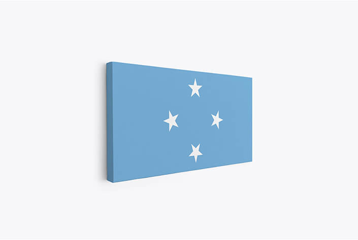 WEB05 0003 MP 0046 Micronesia Flag AOAY4331