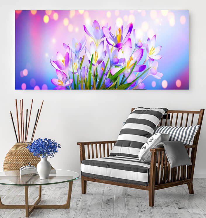 WEB05 0004 ML 0015 46976002 blooming purple crocus flowers AOAY4445