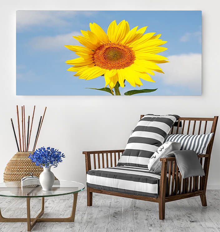 WEB05 0017 ML 0002 47277896 field of blooming sunflowers on a background blue sky AOAY4460