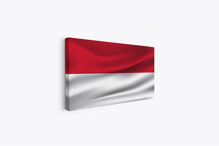 WEB05 0042 MP 0007 Indonesia Waving Flag AOAY4051
