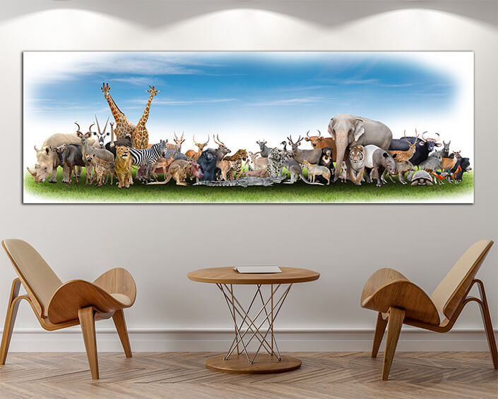 WEB060 0001 MP Panoramic 0005 18374952 animal of the world36 AOAY3511