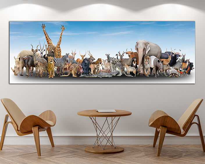 WEB060 0005 MP Panoramic 0001 18294884 animal of the world AOAY3504