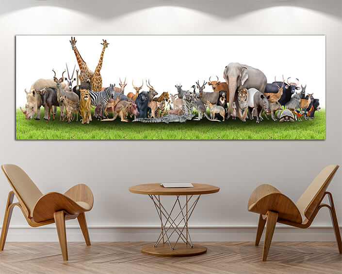 WEB060 0007 MP Panoramic 0008 18294890 animal of the world AOAY3506