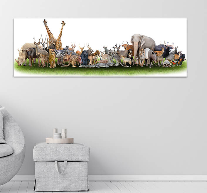 WEB06 0001 MP Panoramic 0006 18374742 animal of the world AOAY3510