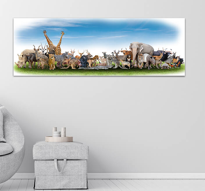 WEB06 0002 MP Panoramic 0005 18374952 animal of the world36 AOAY3511