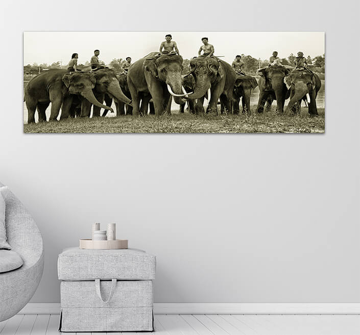 WEB06 0004 MP Panoramic 0003 35788320 spirit of asiathailand countryside farmer and elephant on the background of sunris