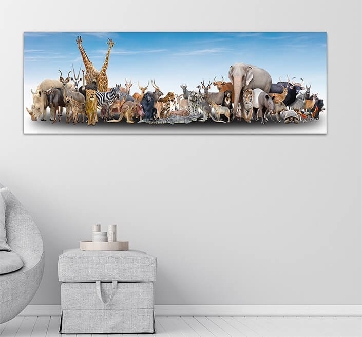 WEB06 0006 MP Panoramic 0001 18294884 animal of the world AOAY3504